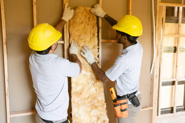 Best Insulation Removal  in Weston, WV