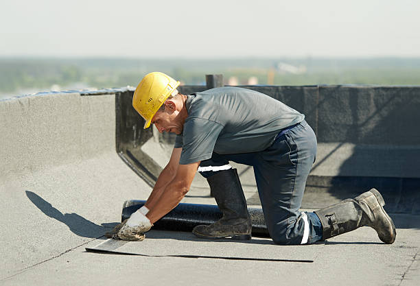 Best Attic Insulation Installation  in Weston, WV