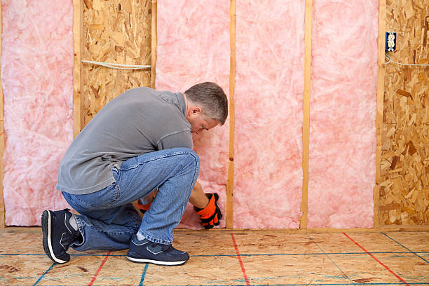Best Affordable Insulation Services  in Weston, WV