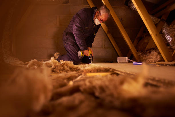 Best Wall Insulation Contractor  in Weston, WV