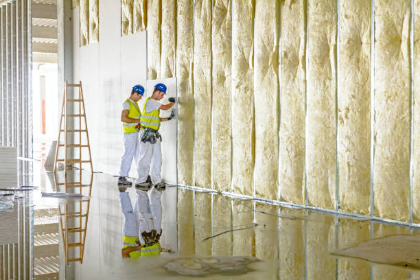 Best Attic Insulation Installation  in Weston, WV